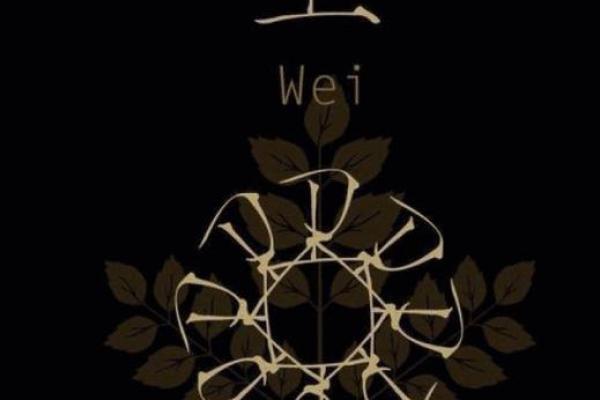 卫姓男孩名字大全-卫姓男孩起名字大全-卫姓名字大全姓名