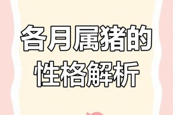 属猪的找什么属相最好 不同月份出生属猪的婚配最佳配对