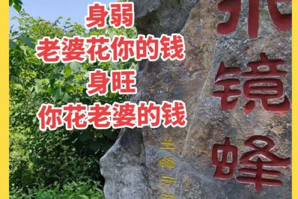 八字命理：比肩劫财是什么意思
