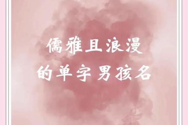 单姓男孩名字大全-单姓男孩起名字大全-单姓名字大全姓名